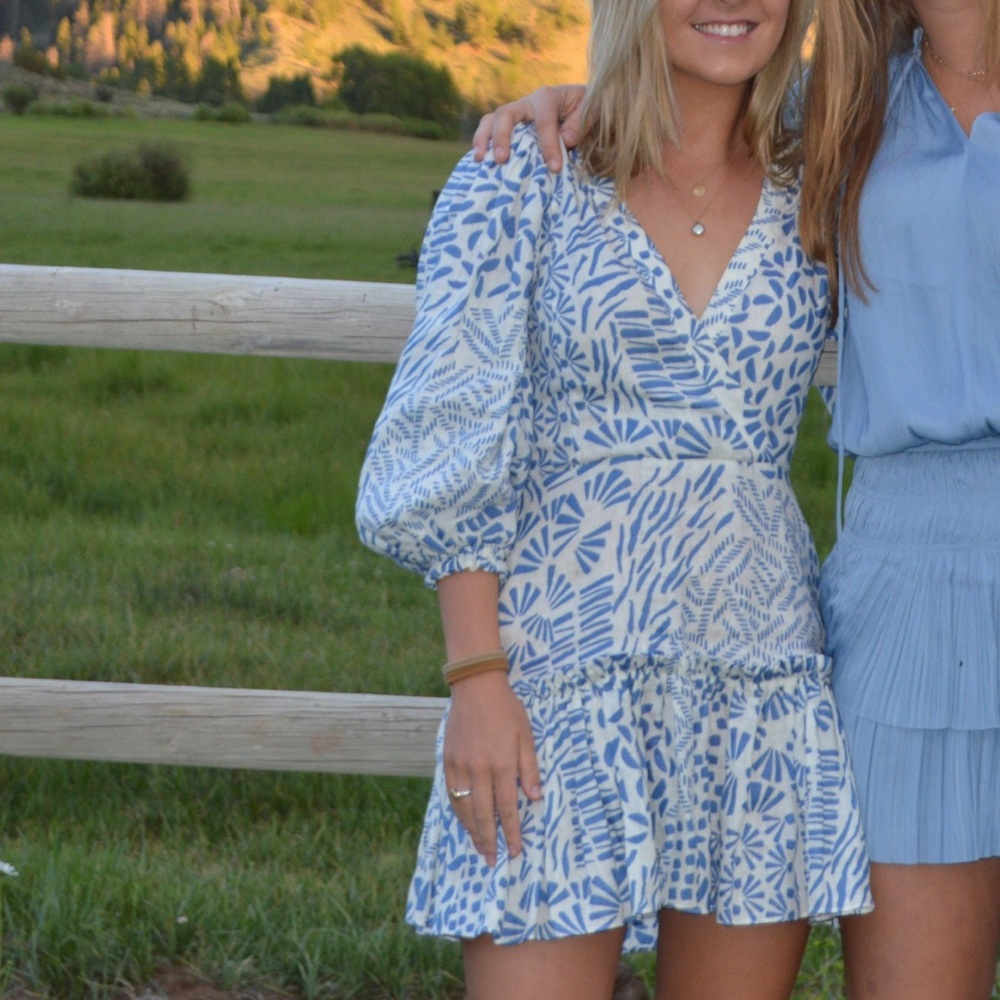 alexis mini dress